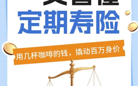 一图看懂定期寿险
