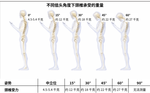 低头角度与颈椎承受的重量